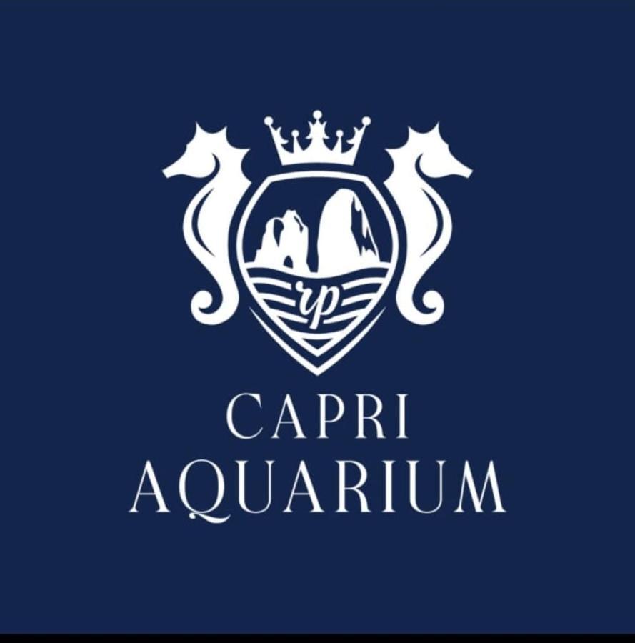 Capri Aquarium Family - Vacation Home Buitenkant foto