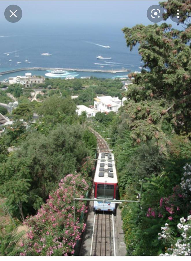 Capri Aquarium Family - Vacation Home Buitenkant foto